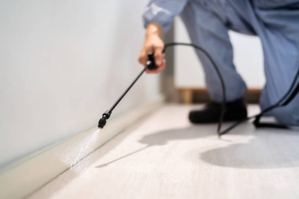 Licensed Rodent Control service in Corinth, MS - Nex Pest Control