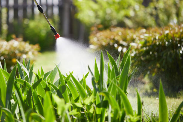 24/7 Emergency Rodent Control experts in Corinth, MS