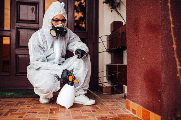 Reliable Rodent Control contractor in Corinth, MS by Nex Pest Control