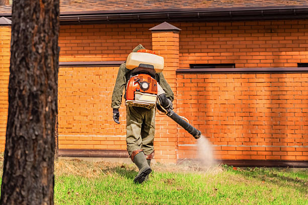 Trusted Rodent Control service in Corinth, MS - Nex Pest Control